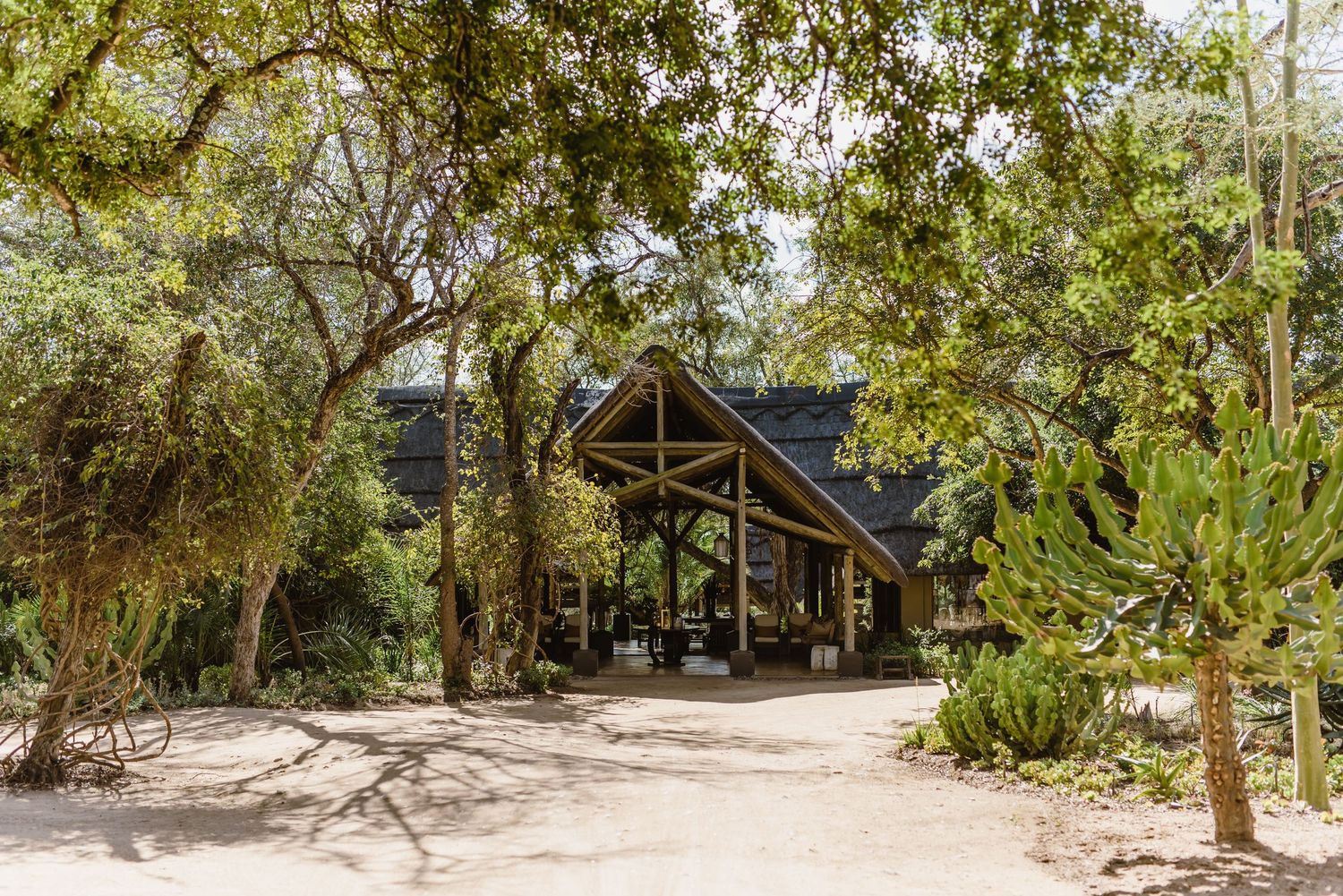Thornybush Game Lodge, Kruger National Park Wedding by Safari Wedding Photographer Wildflower Photography