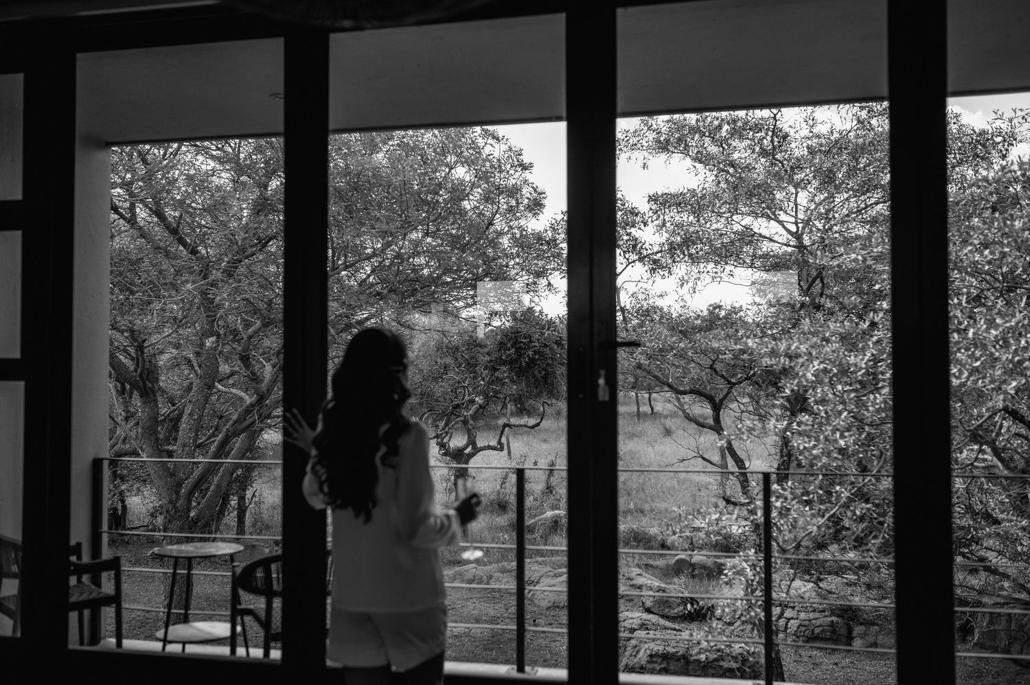 Panoramic view of a modern interior space with large windows overlooking a natural landscape.