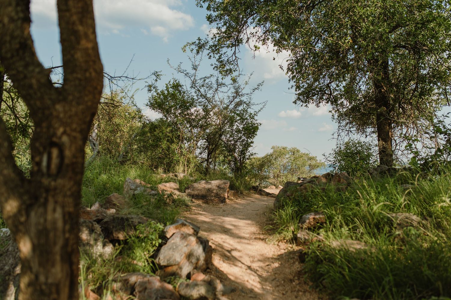 Scenic bush path lined with rocks and trees under blue sky in African wilderness.