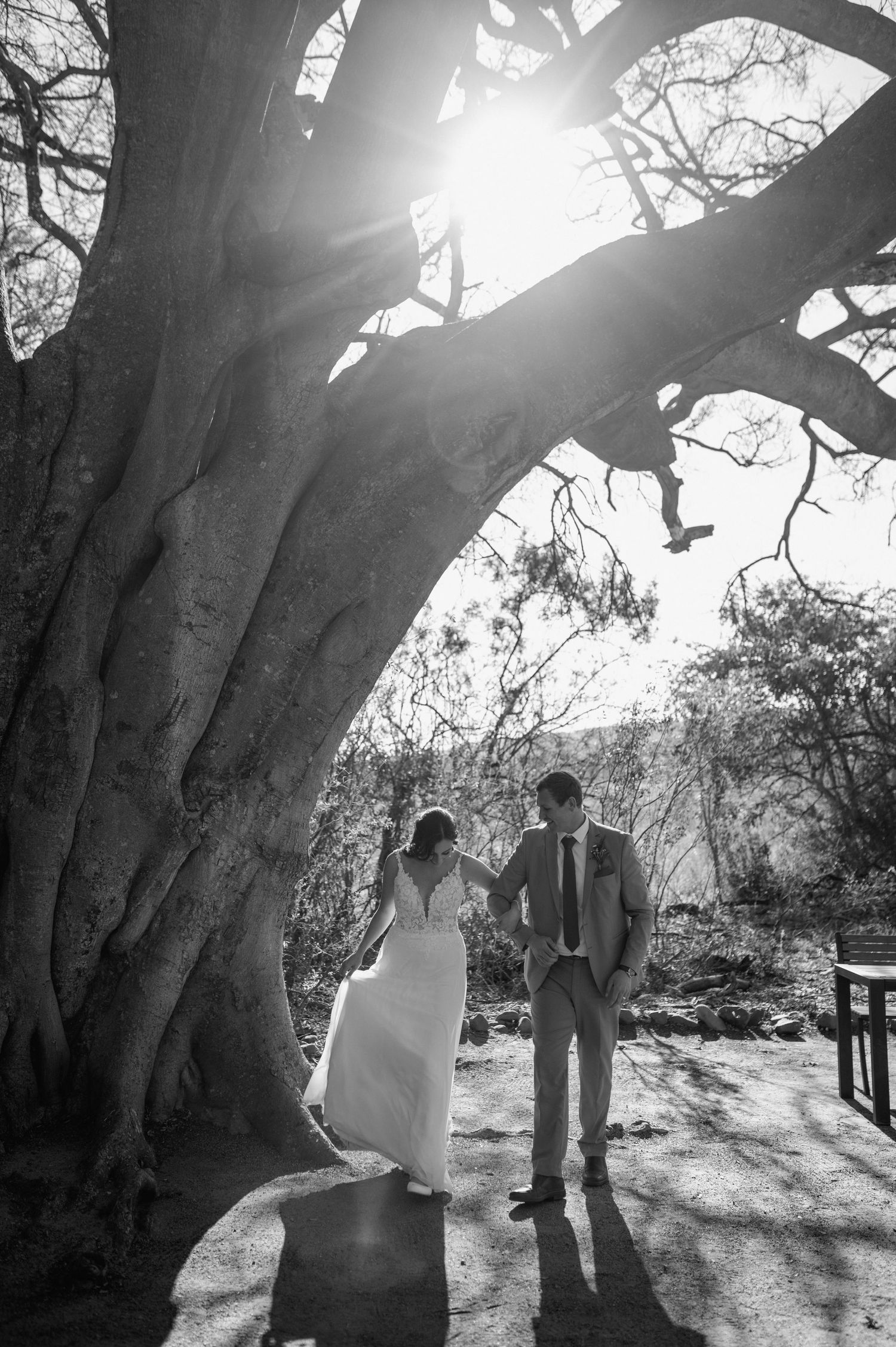 Sunlight streams through tree branches during an outdoor wedding photoshoot.