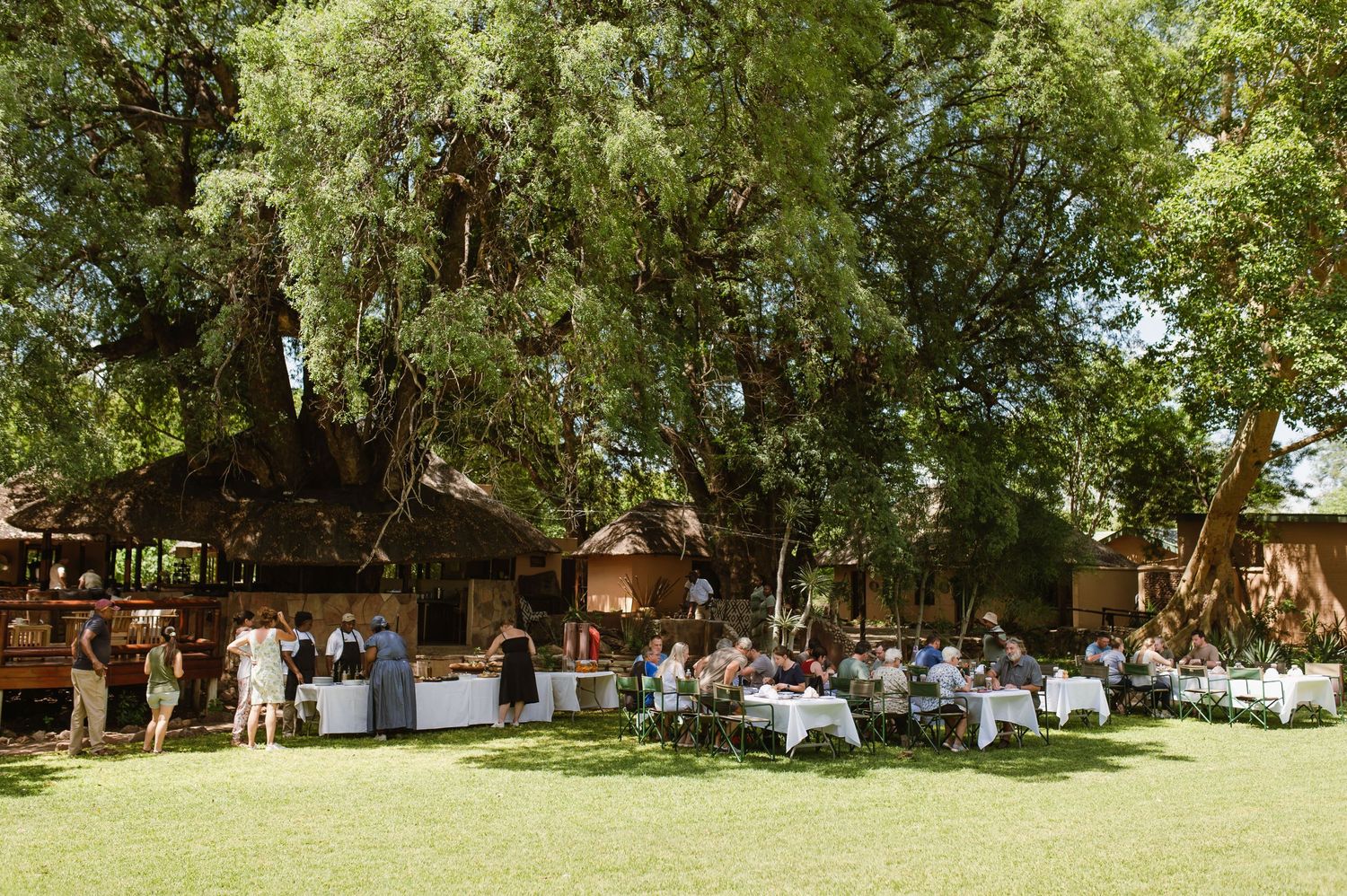 Mashatu game reserve, Tuli Safari Lodge, Botswana safari wedding by Safari wedding photographer wildflower photography