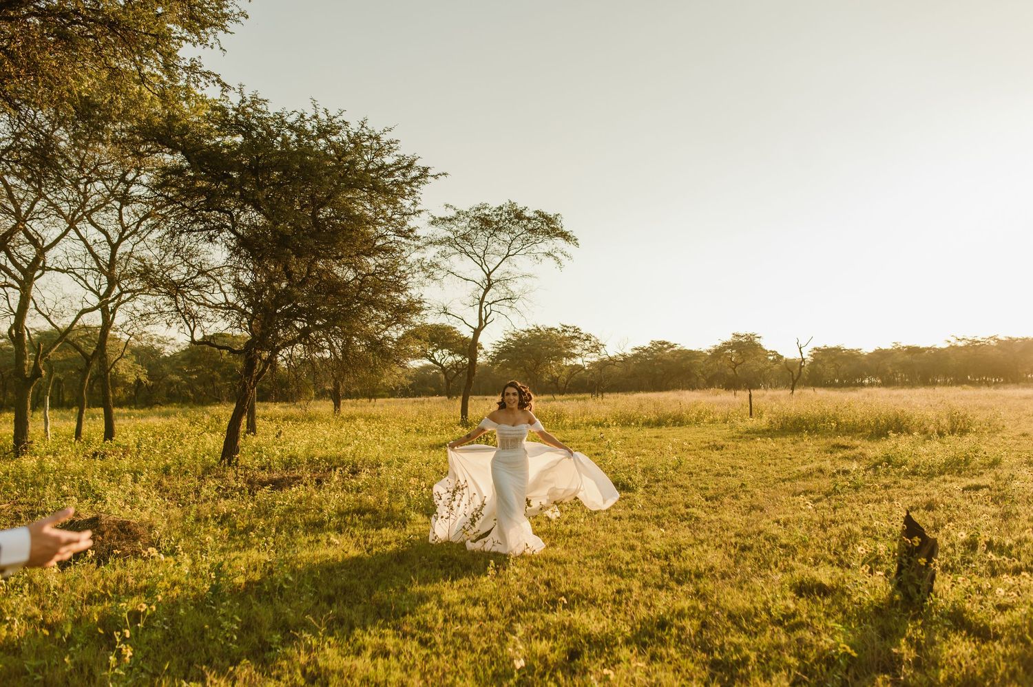 A flowing white wedding dress twirls in a golden field at sunset with acacia trees in the background.