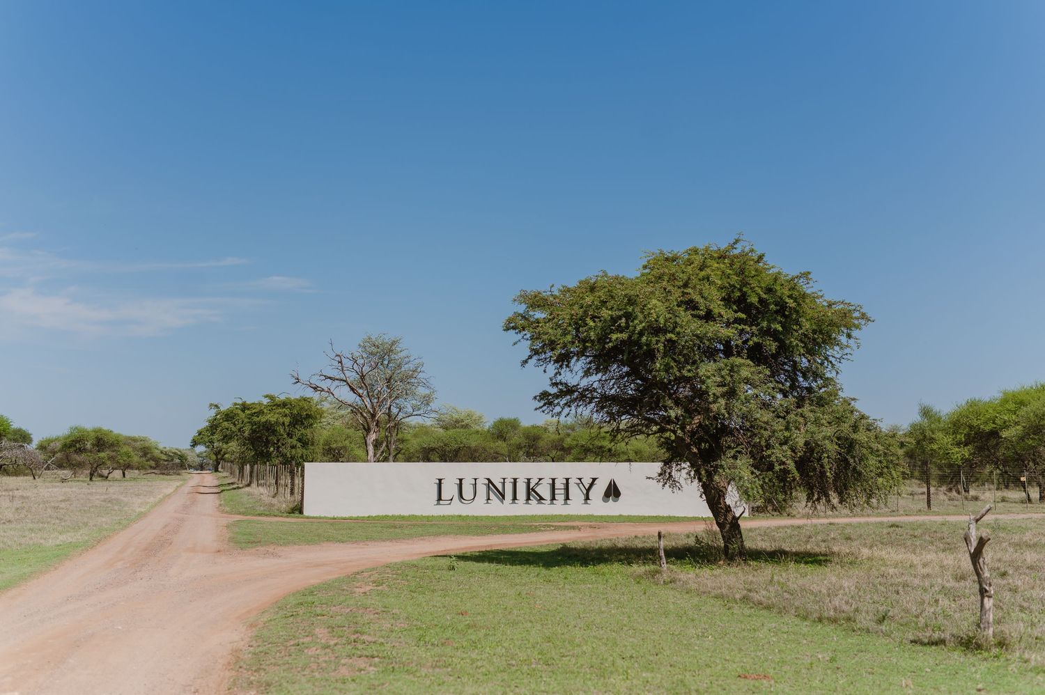 Rural dirt road leading to Lumikita property with native trees and natural landscape.