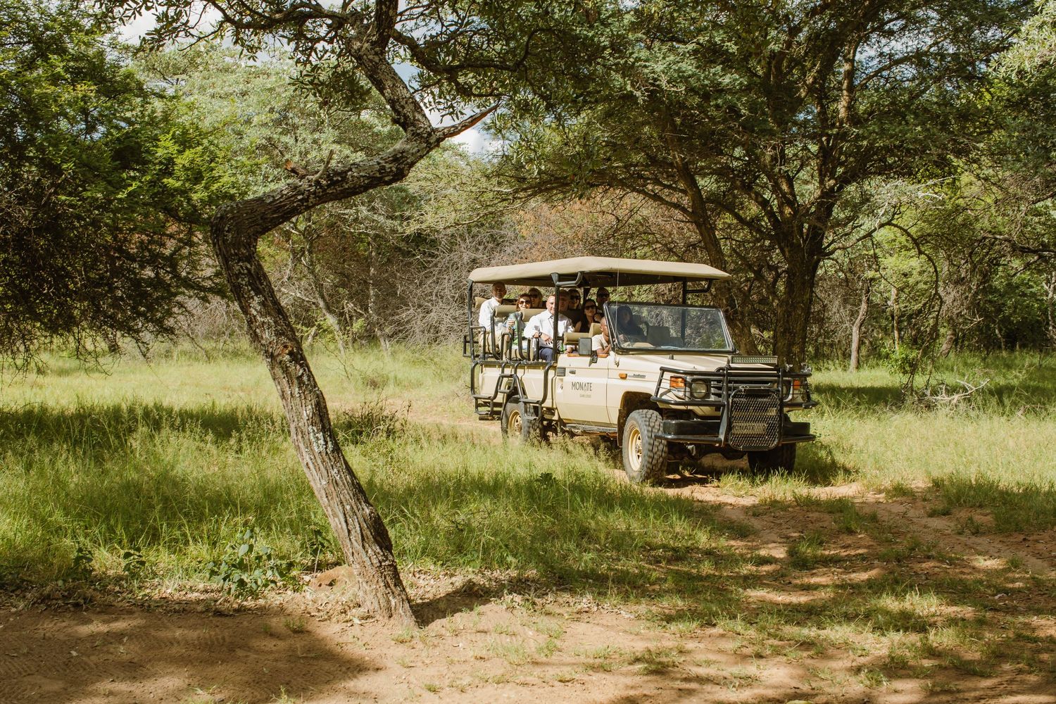 Safari vehicles parked under shady trees in an outdoor nature setting.