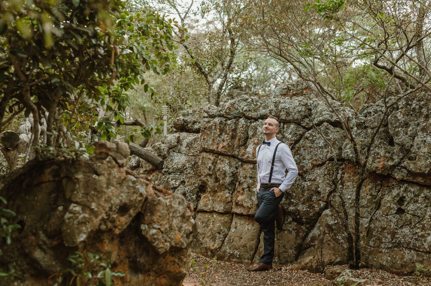 A scenic woodland path with scattered rocks and natural foliage.