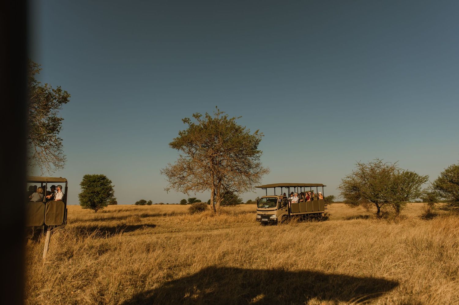 Multiple safari vehicles traverse across a sun-drenched African grassland landscape.
