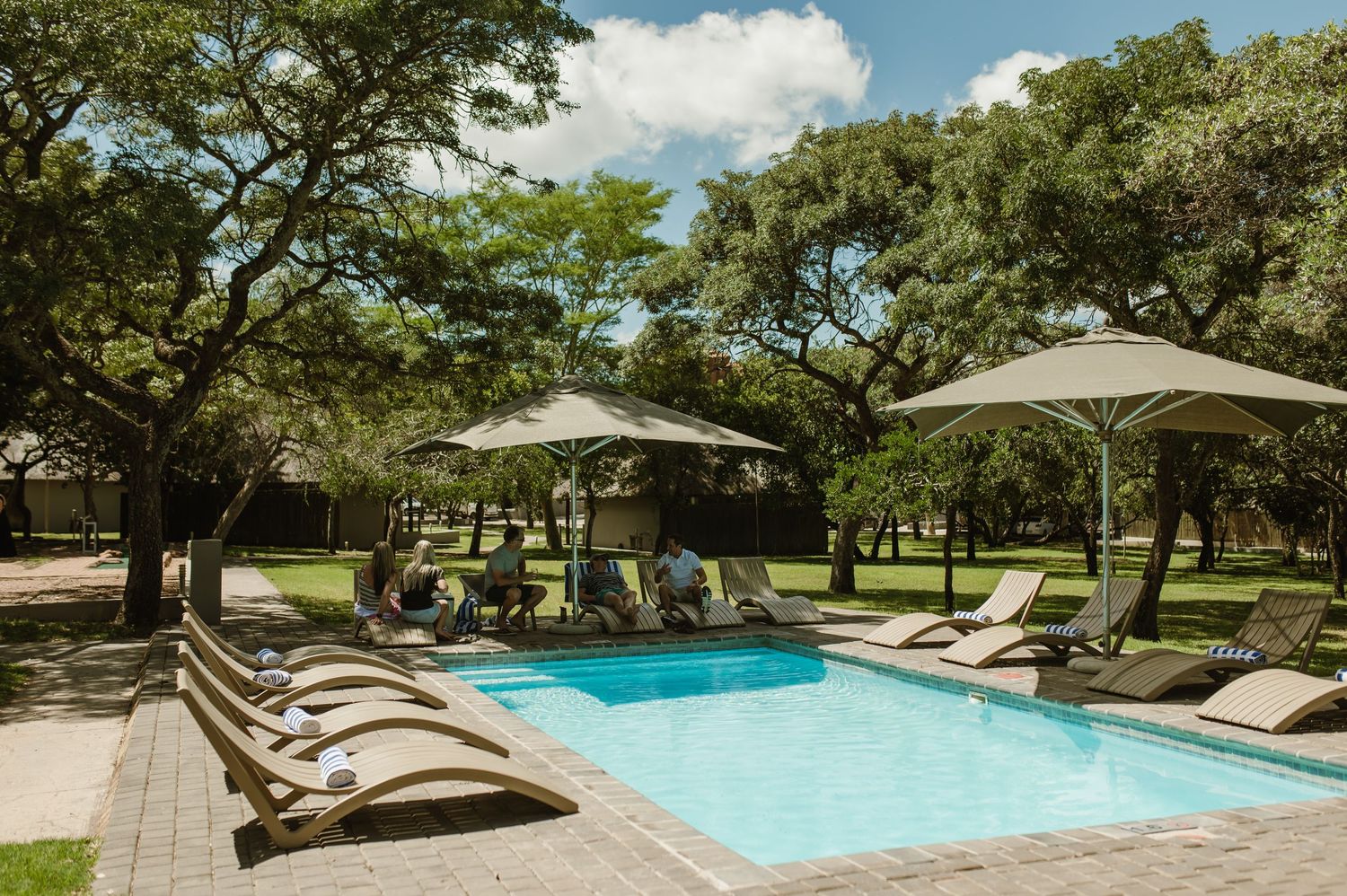 Modern swimming pool with loungers and umbrellas surrounded by trees at luxury safari lodge.