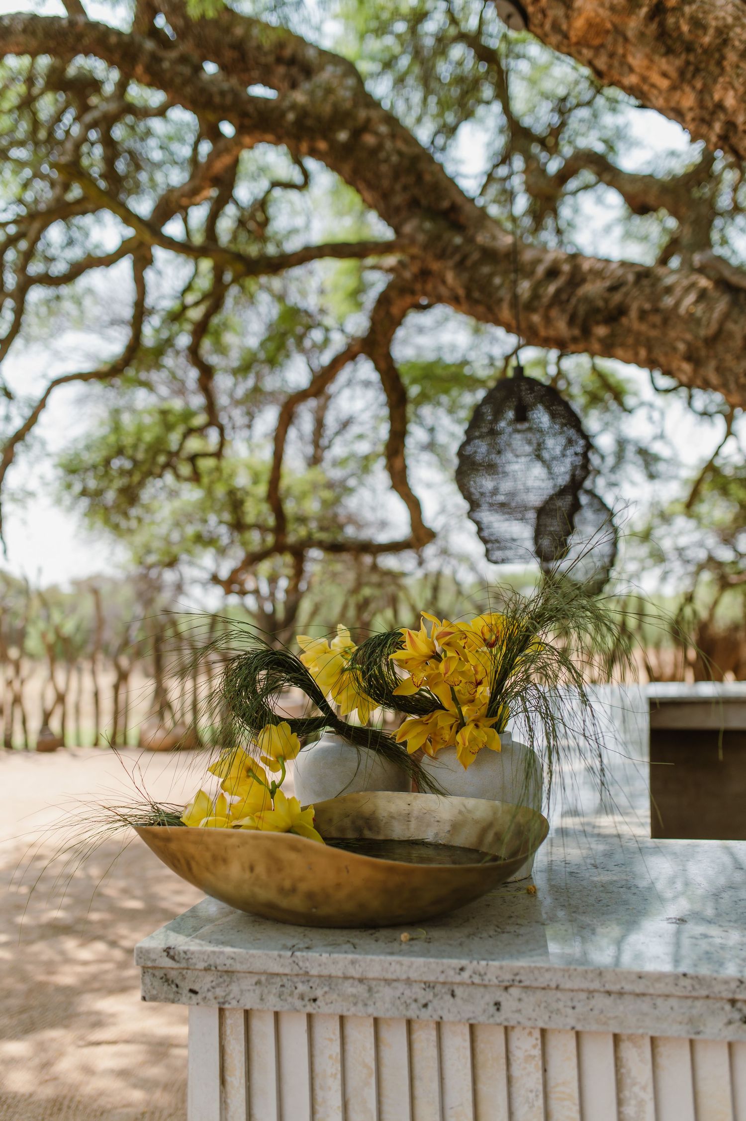 Yellow flowers arranged in rustic bowls on outdoor tables with natural scenery.
