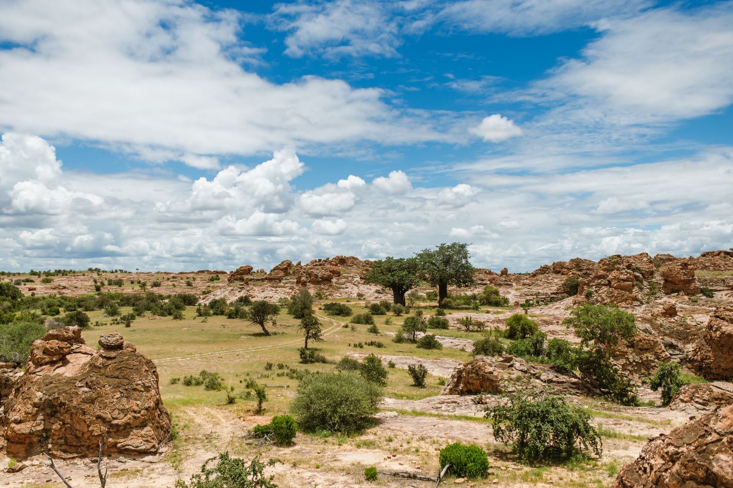 chirs & sam Mashatu game reserve, Botswana wedding by wildflower photography