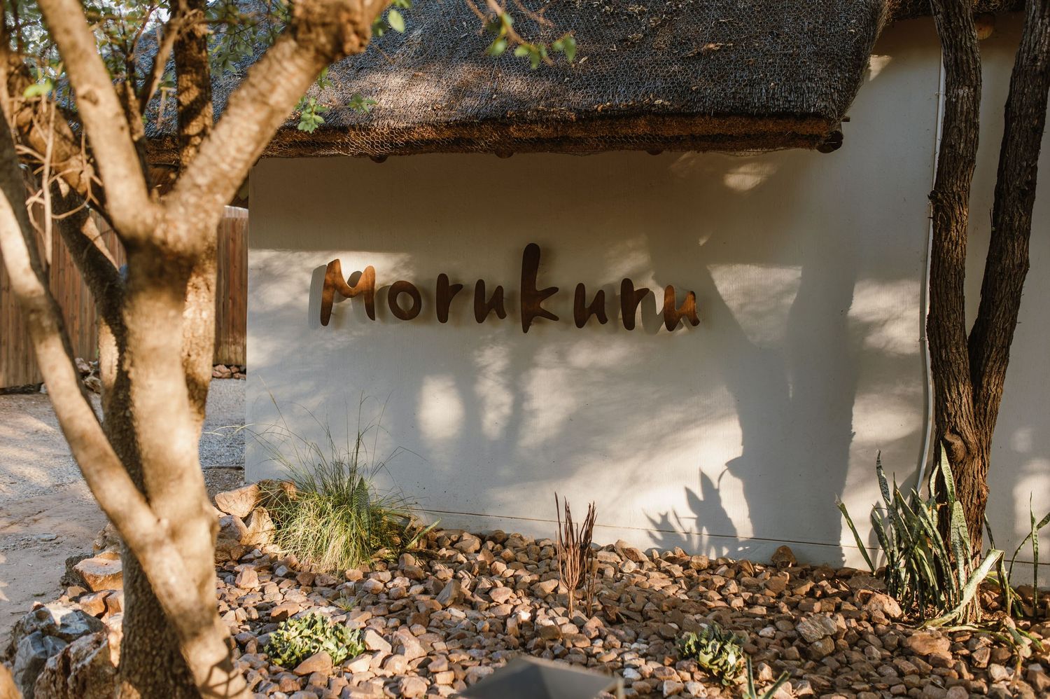 Vow renewal - Morukuru Family - Madikwe Reserve by Safari Wedding Photographer - Wildflower Photography