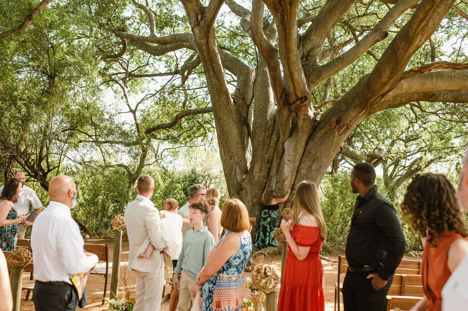 GRAEME & KIRSTY'S KUTHABA BUSH LODGE WEDDING BY SAFARI WEDDING PHOTOGRAPHER WILDFLOWER PHOTOGRAPHY