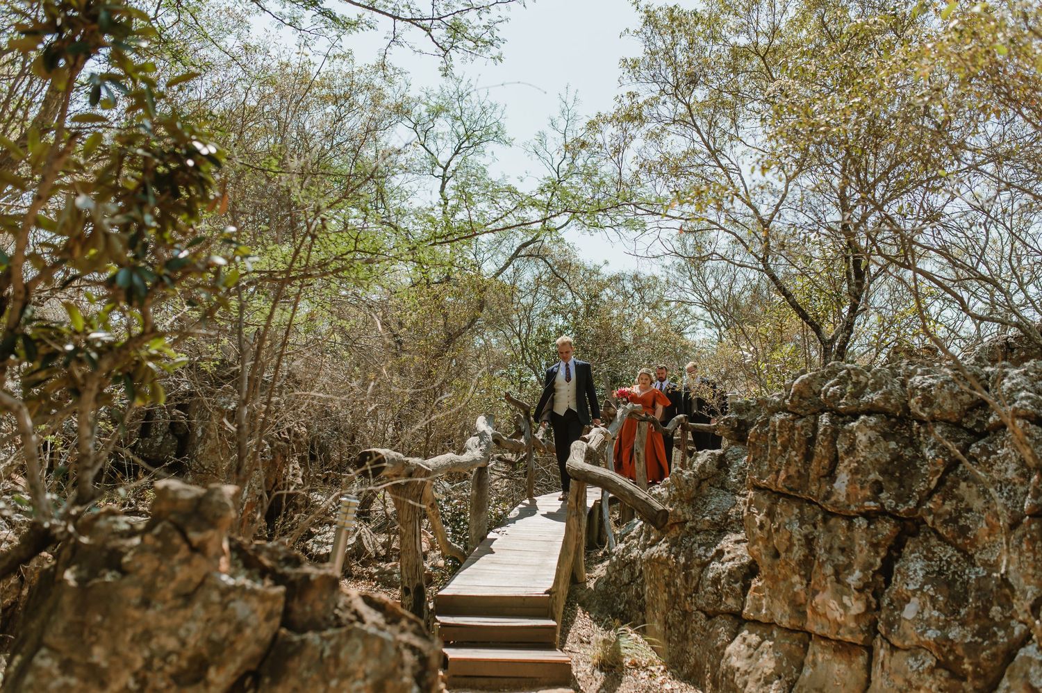 A wedding party ascends stone steps on a natural trail surrounded by trees.