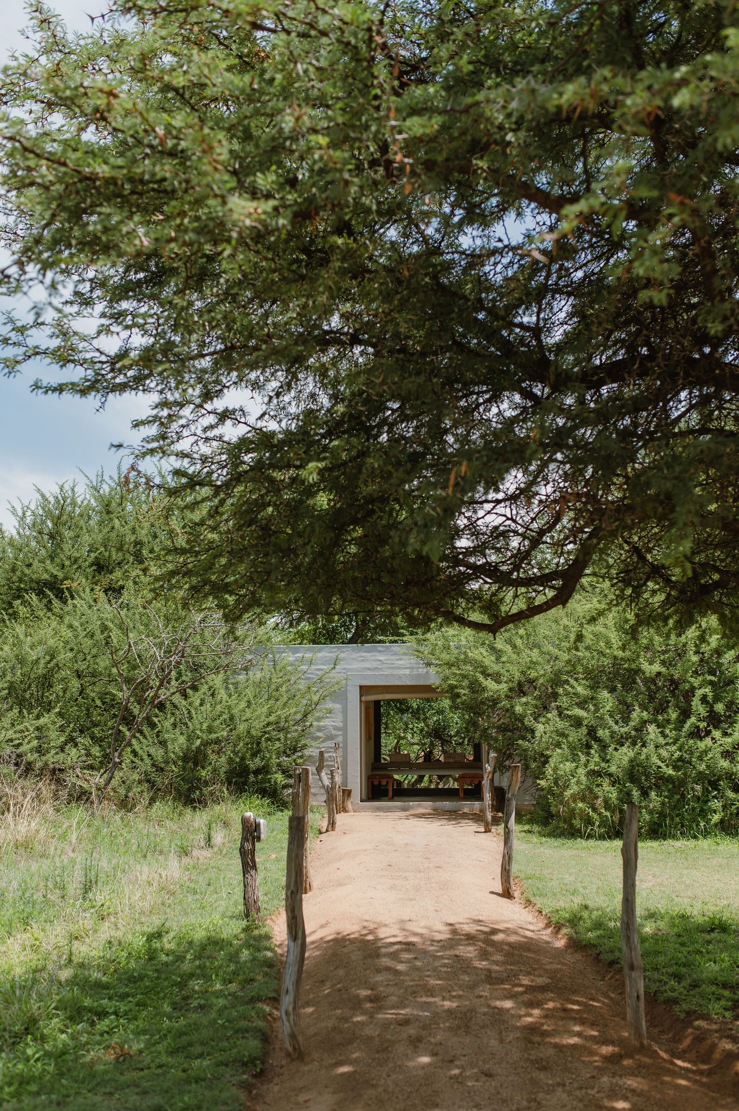 Outdoor wedding ceremony setup with white fabric canopies and a majestic tree backdrop.