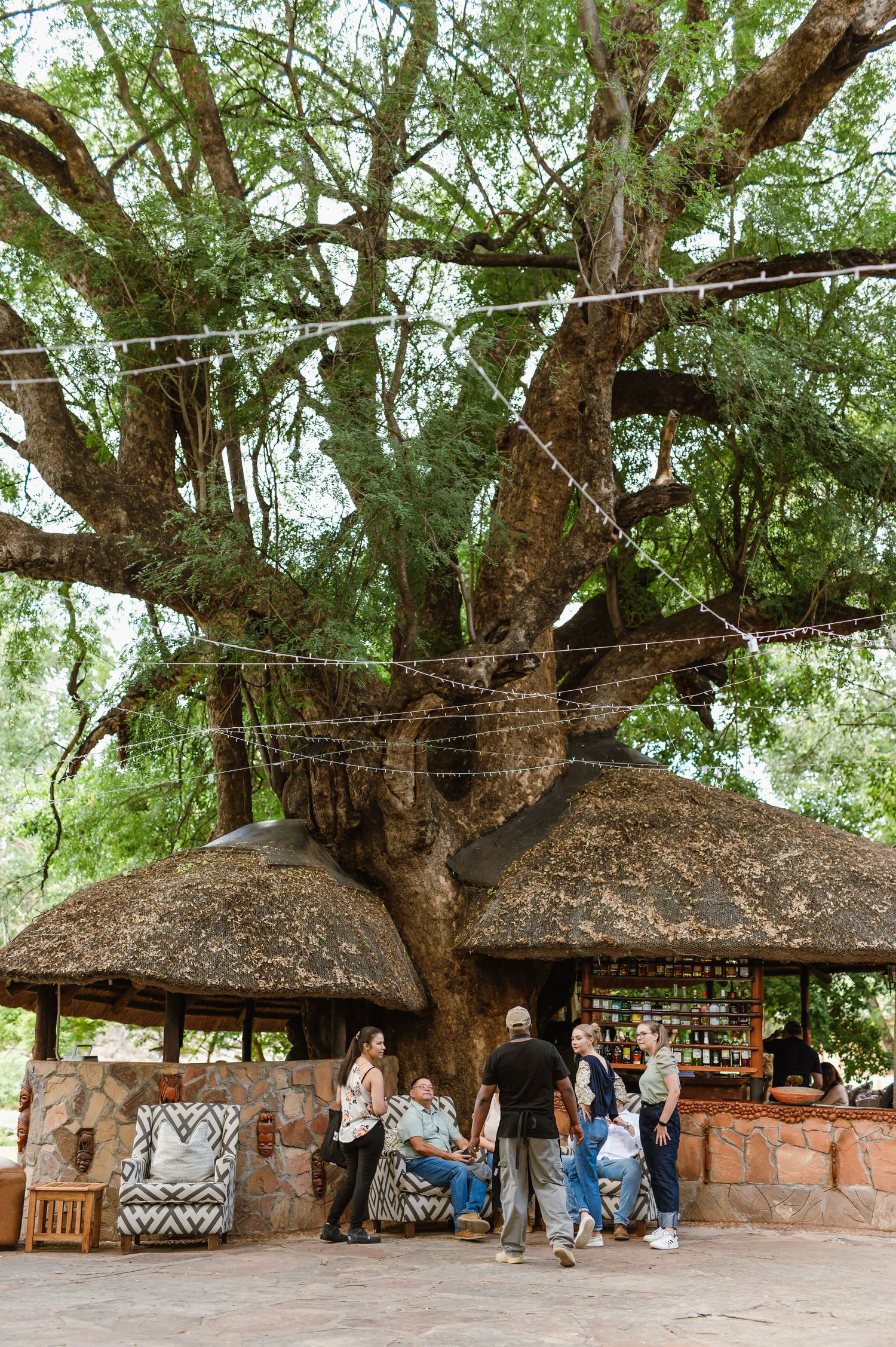 chirs & sam Mashatu game reserve, Botswana wedding by wildflower photography