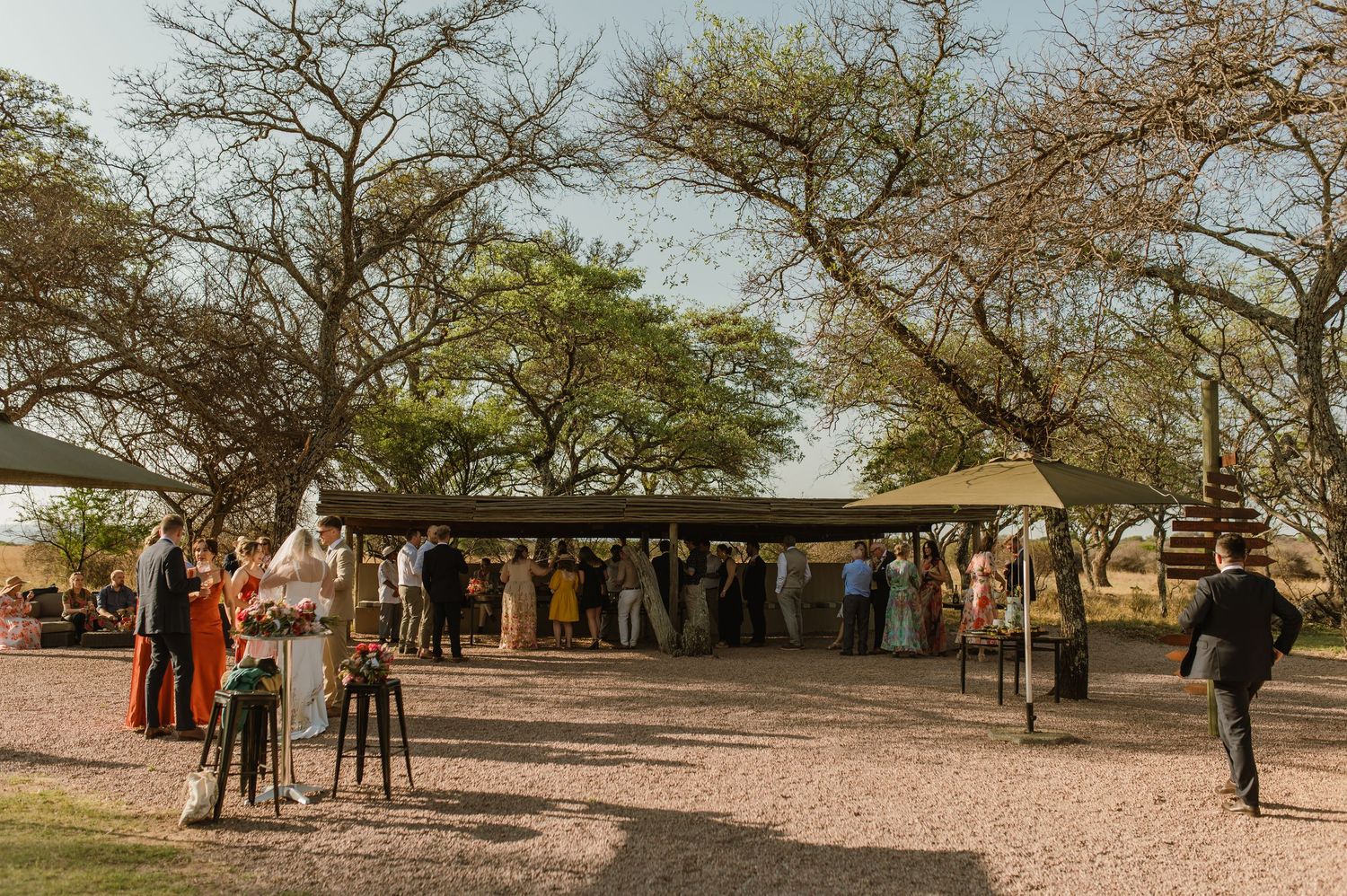 Panoramic view of outdoor wedding venue with trees and guests gathering.