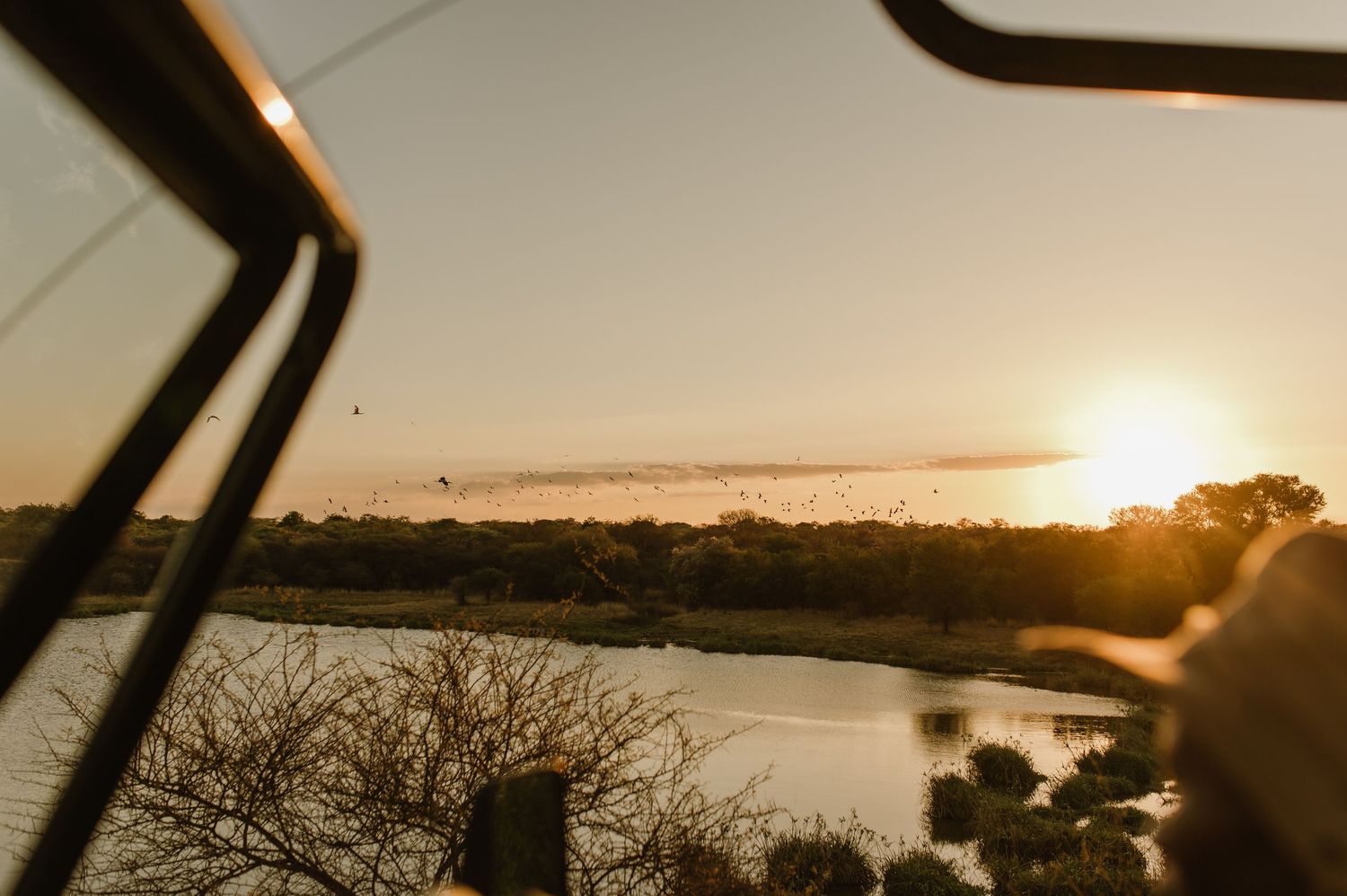 Scenic sunset view over a lake with silhouetted trees and people gathered on the shore.