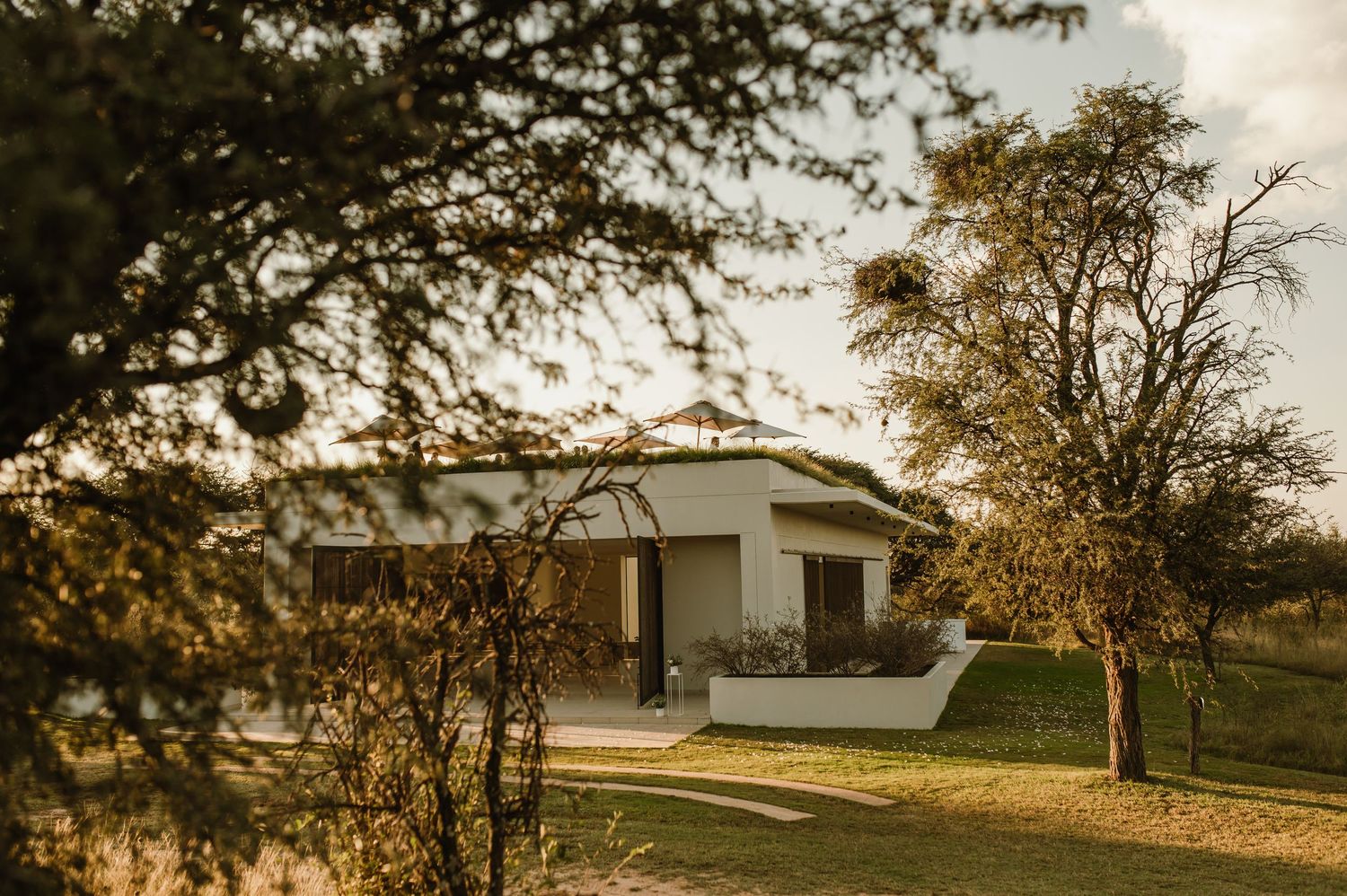 Panoramic view of rustic wedding venue surrounded by acacia trees.