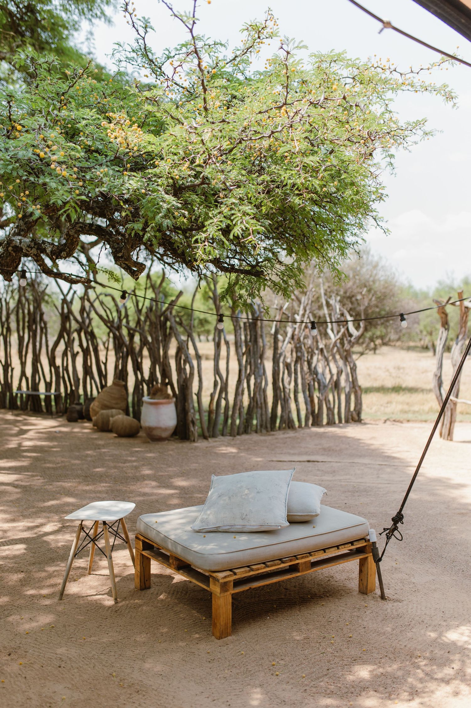 Rustic wooden benches arranged under shady trees in an outdoor setting.