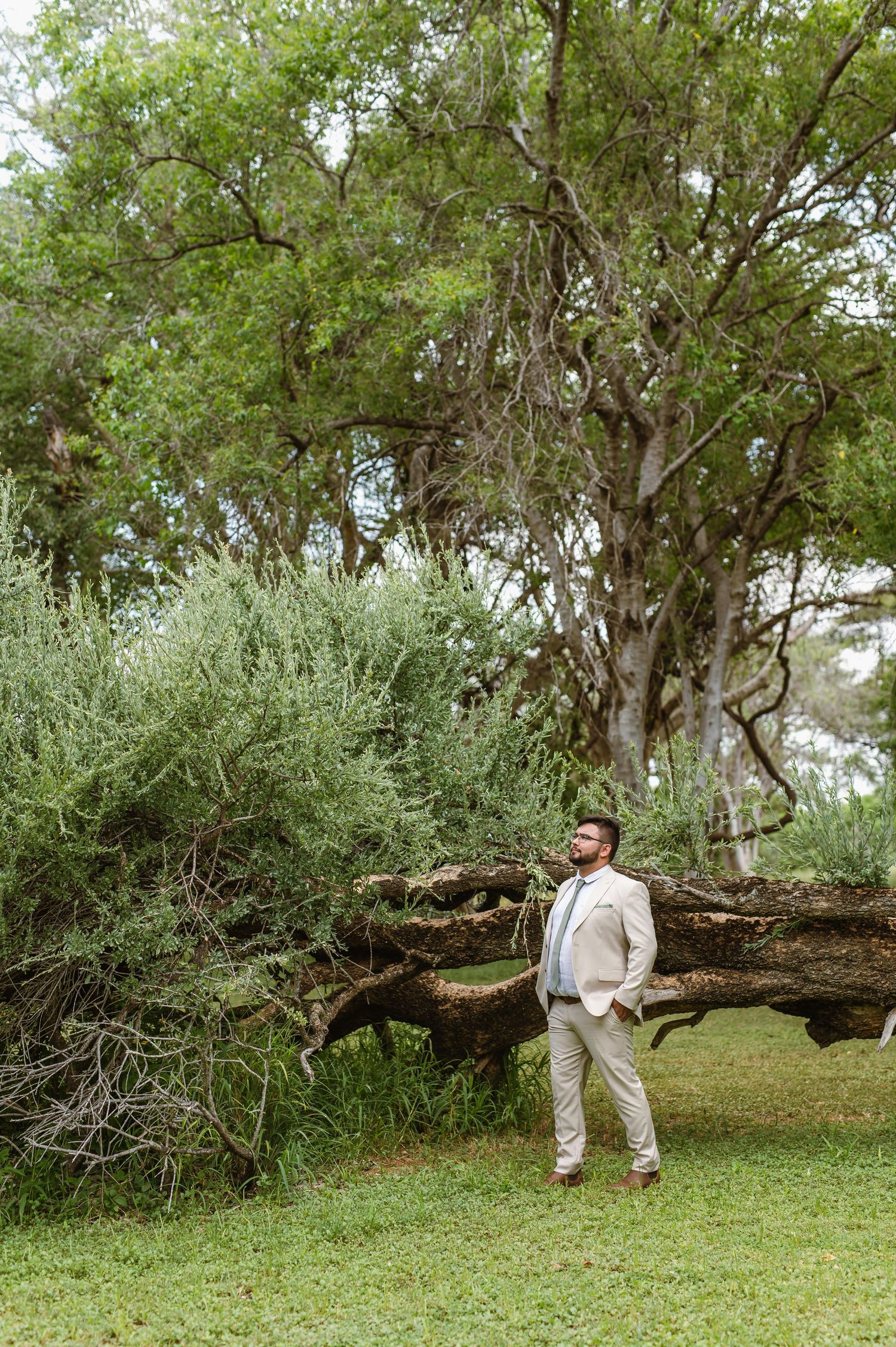 Mashatu game reserve, Tuli Safari Lodge, Botswana safari wedding by Safari wedding photographer wildflower photography
