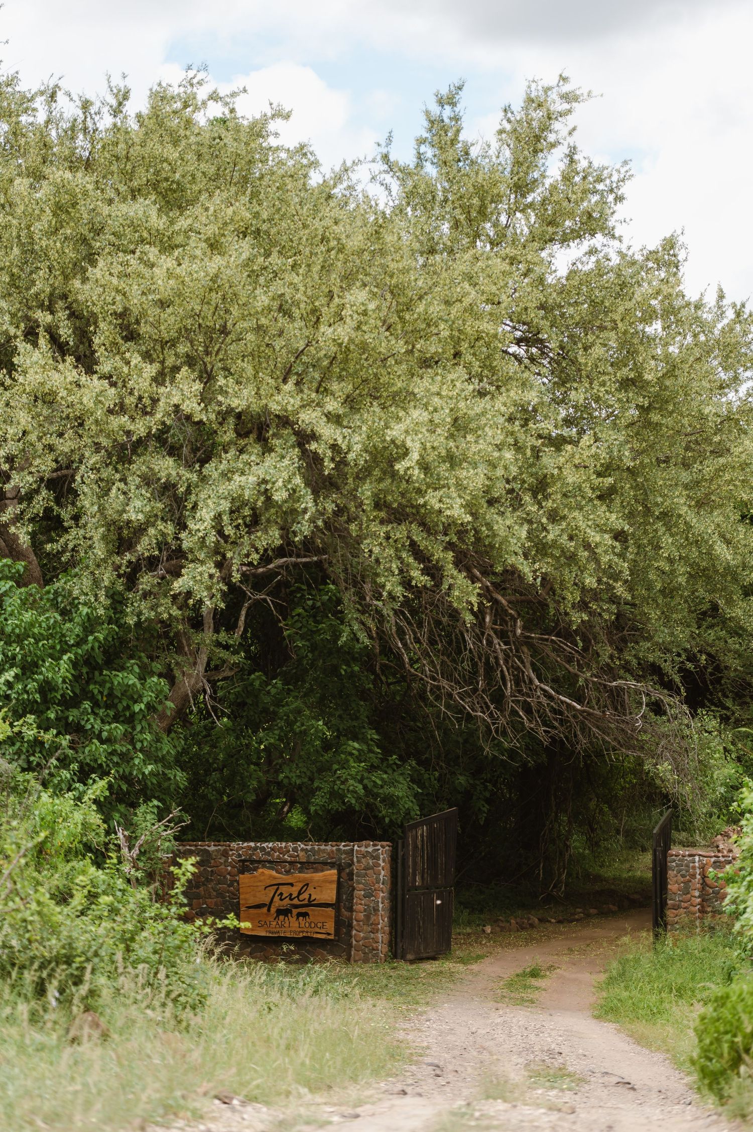 chirs & sam Mashatu game reserve, Botswana wedding by wildflower photography