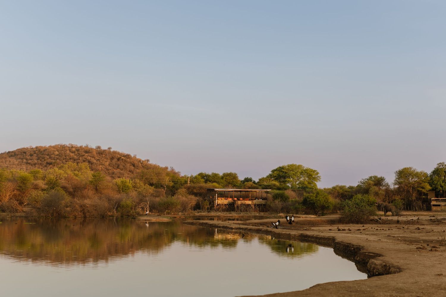 Vow renewal - Morukuru Family - Madikwe Reserve by Safari Wedding Photographer - Wildflower Photography