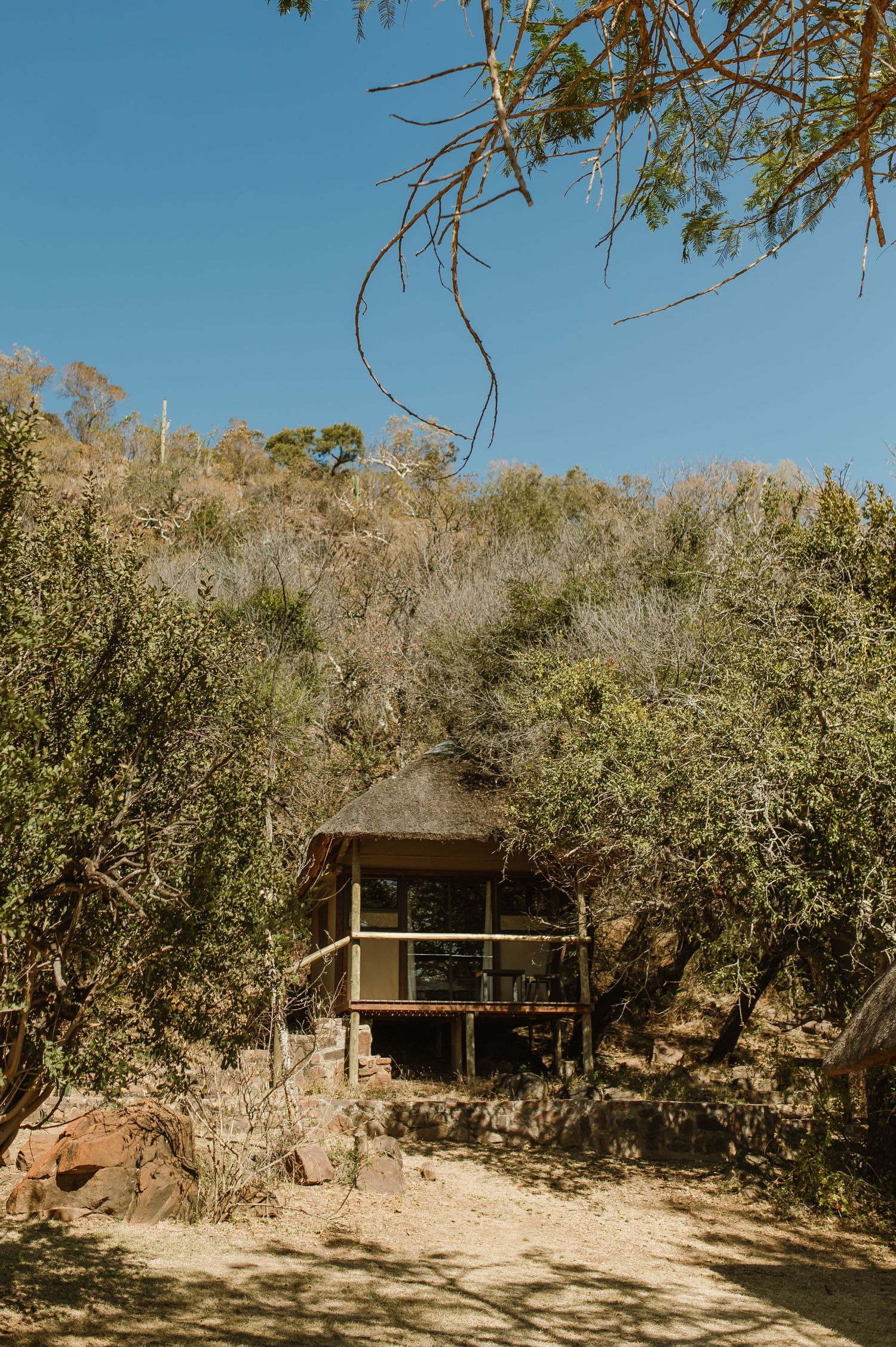 Rustic wooden cabin structure nestled in the hillside surrounded by trees and brush.
