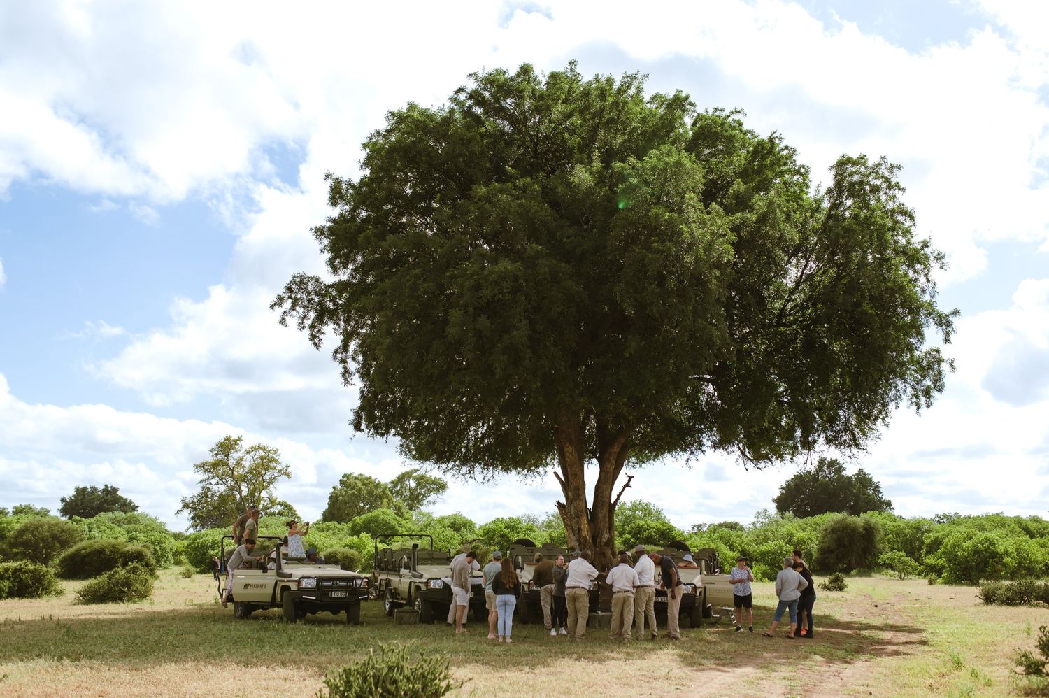 Mashatu game reserve, Tuli Safari Lodge, Botswana safari wedding by Safari wedding photographer wildflower photography