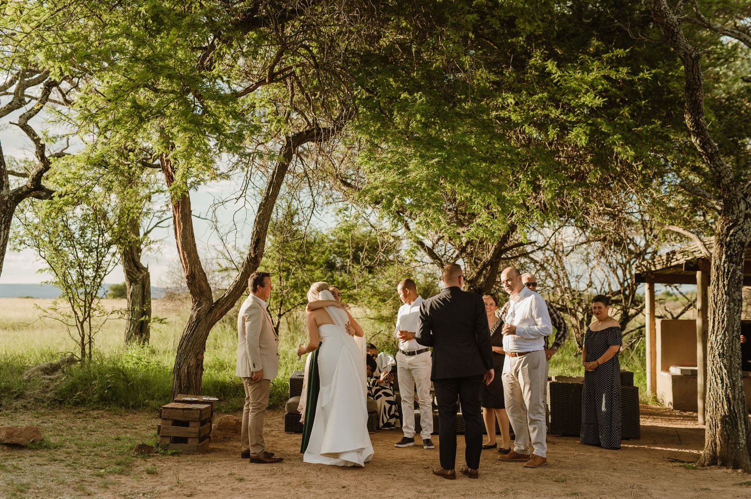 Panoramic view of wedding guests mingling under trees at an outdoor venue.