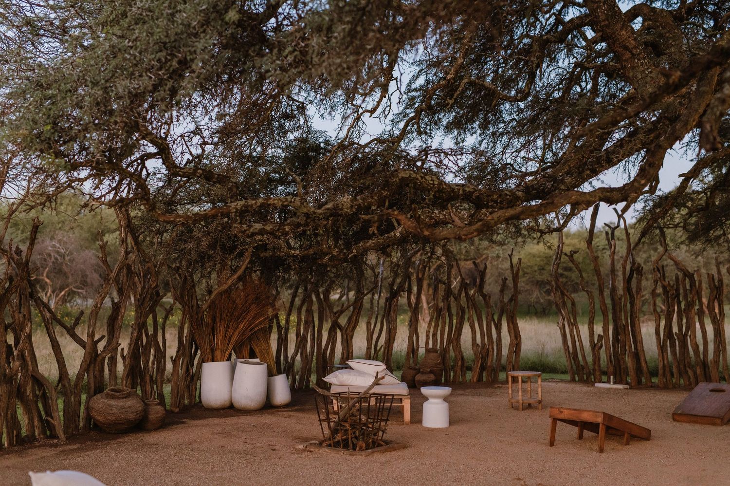 Outdoor wedding venue with string lights illuminating a rustic path through trees at dusk.