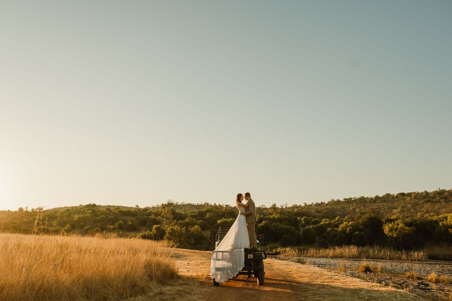 Scenic hilltop landscape at golden hour with tall grass and natural vegetation.