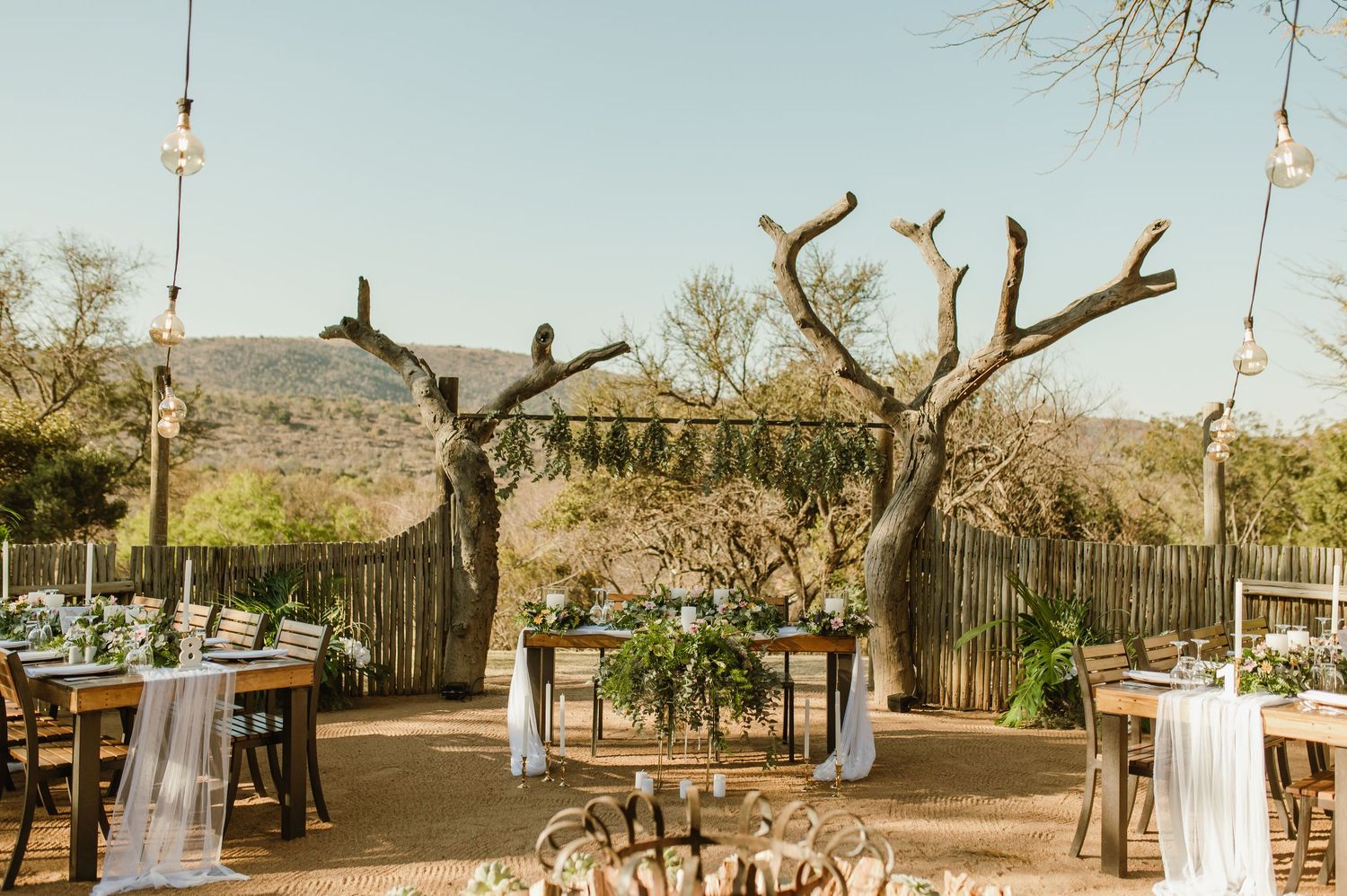 Rustic outdoor wedding venue with string lights and bare trees creating a natural desert atmosphere.