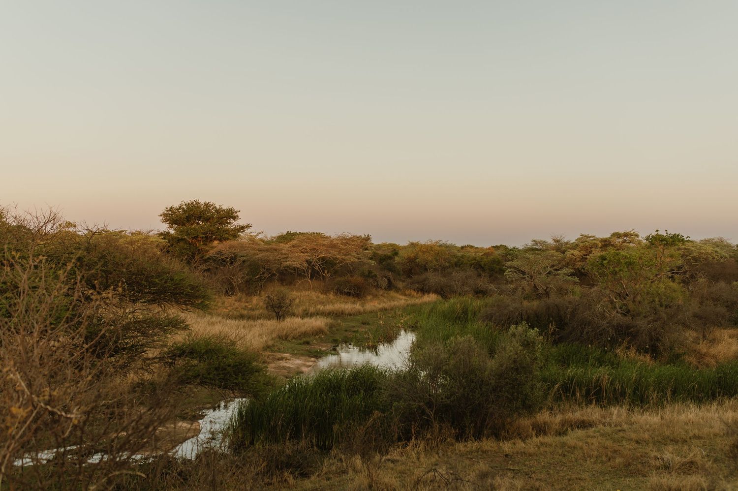 Scenic wetland landscape in African savanna at dusk with water reflecting soft light.
