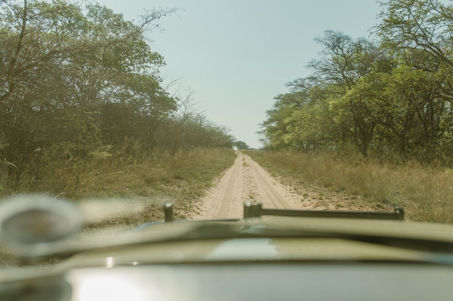 Dusty dirt road through arid landscape viewed through car windshield.