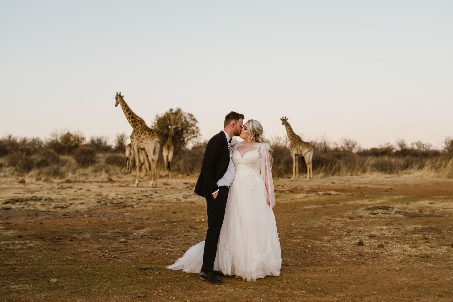 Bona Bona Game Lodge wedding by Safari Wedding Photographer Wildflower Photography