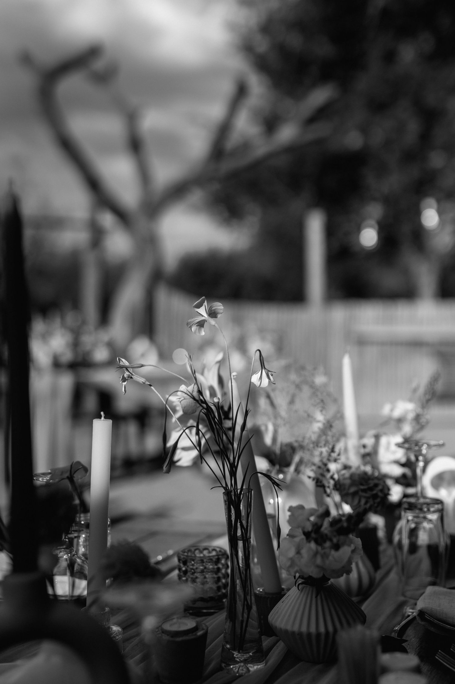 GRAEME & KIRSTY'S KUTHABA BUSH LODGE WEDDING BY SAFARI WEDDING PHOTOGRAPHER WILDFLOWER PHOTOGRAPHY