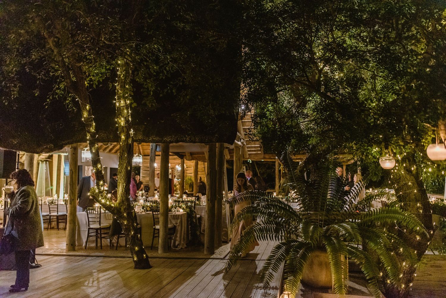 Tree-lined outdoor venue space illuminated by ambient evening lighting.