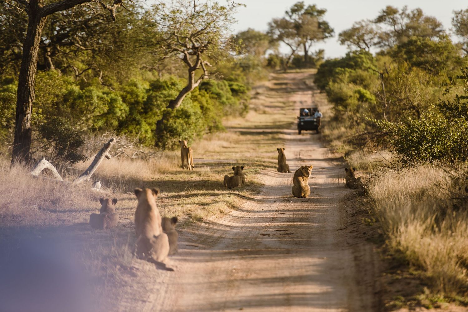 Kruger National Park
