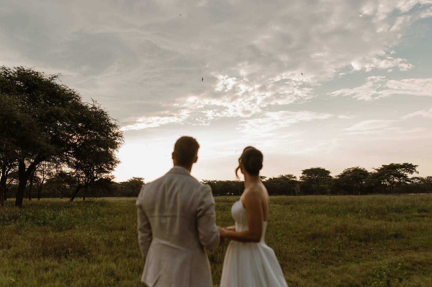A wedding couple stands together watching the sunset in an open field with trees on the horizon.