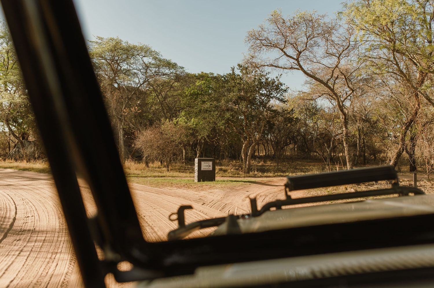 Dirt road winding through an African safari park viewed through a vehicle windshield.