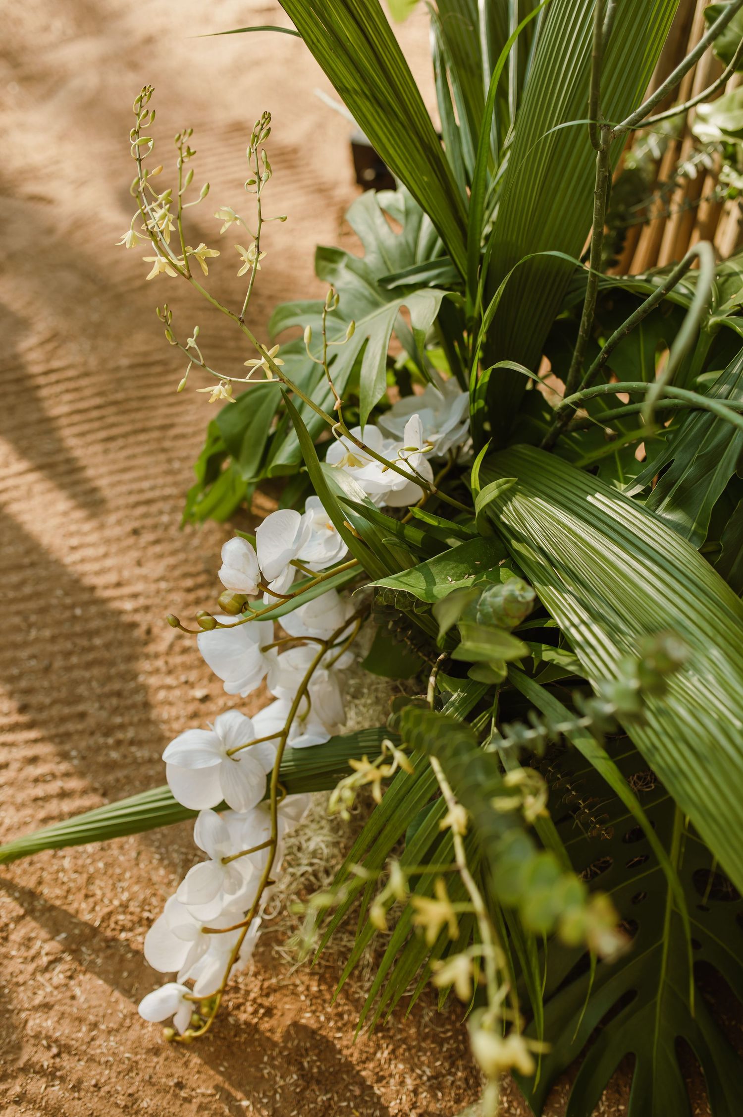 Delicate white orchids and tropical greenery arranged in an elegant floral display.