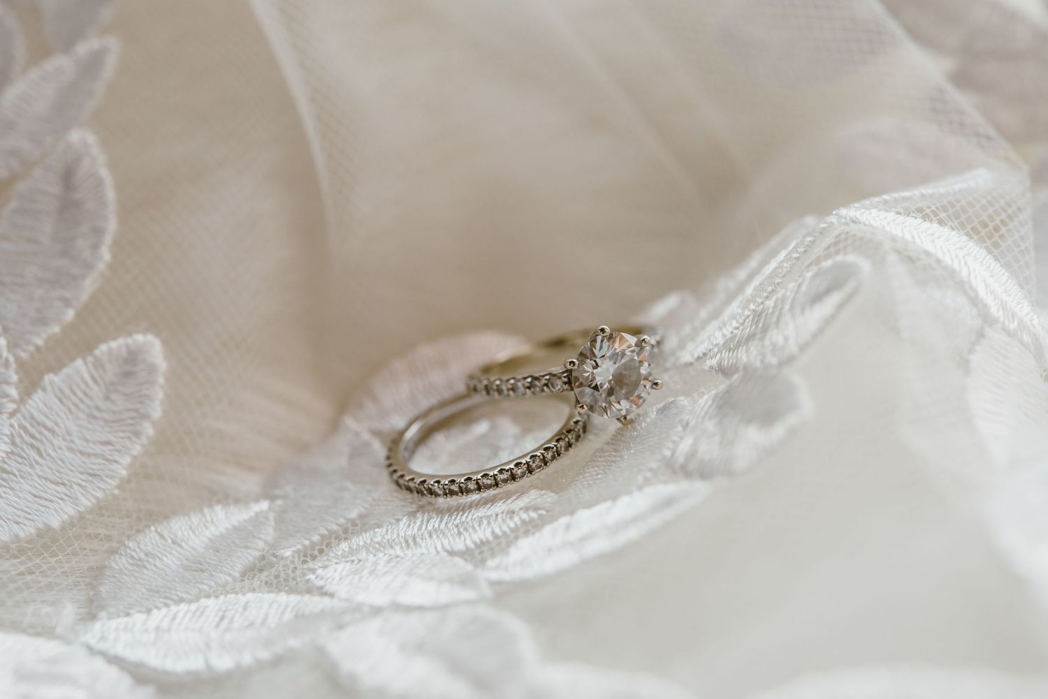 Thornybush Game Lodge, Kruger National Park Wedding by South African Safari Wedding Photographer Wildflower Photography