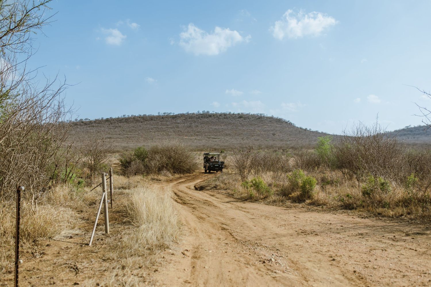 Vow renewal - Morukuru Family - Madikwe Reserve by Safari Wedding Photographer - Wildflower Photography