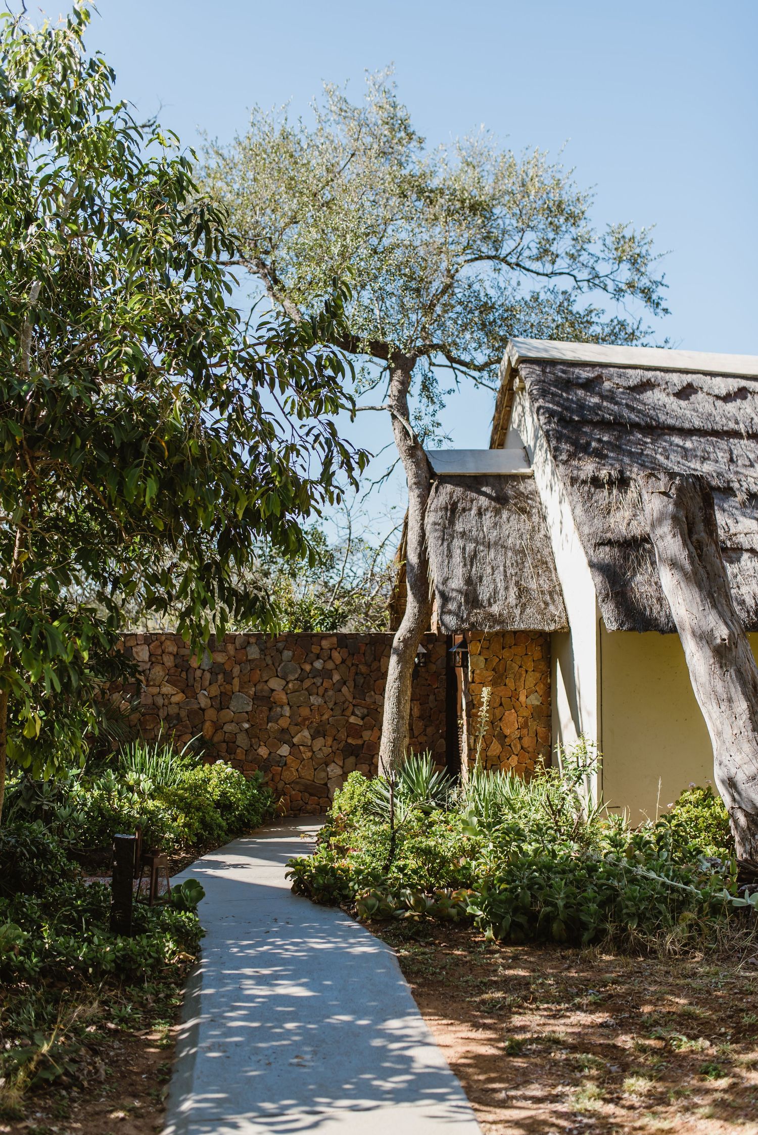 Thornybush Game Lodge, Kruger National Park Wedding by South African Safari Wedding Photographer Wildflower Photography