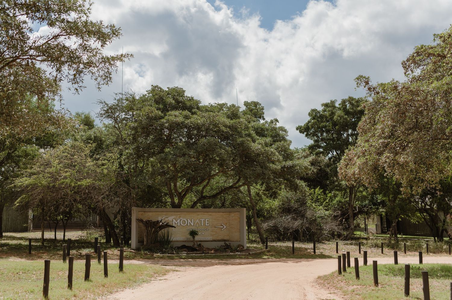 Tree-lined pathway leading to a building under cloudy skies.