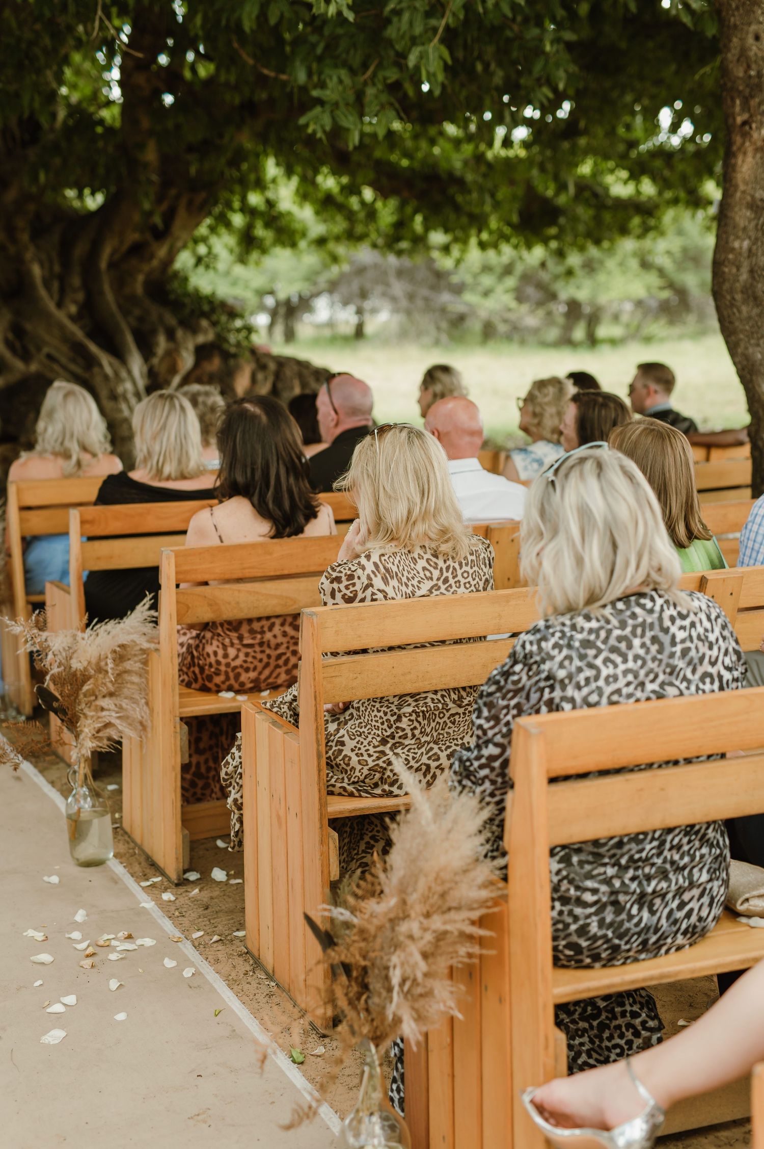 Wooden pews decorated with floral arrangements line the outdoor wedding aisle.