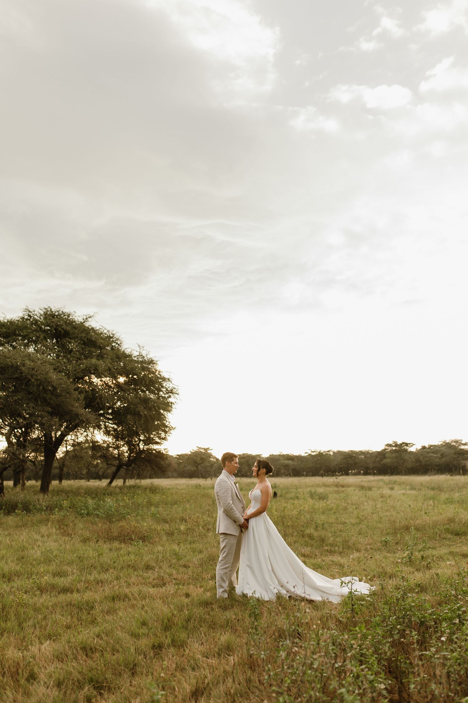 A romantic wedding couple walks through a serene meadow with scattered trees at sunset.
