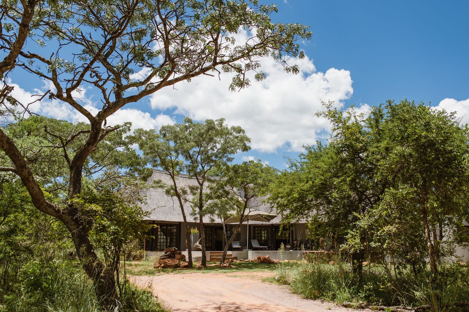Monate Game Lodge wedding by Safari Wedding Photographer Wildflower Photography