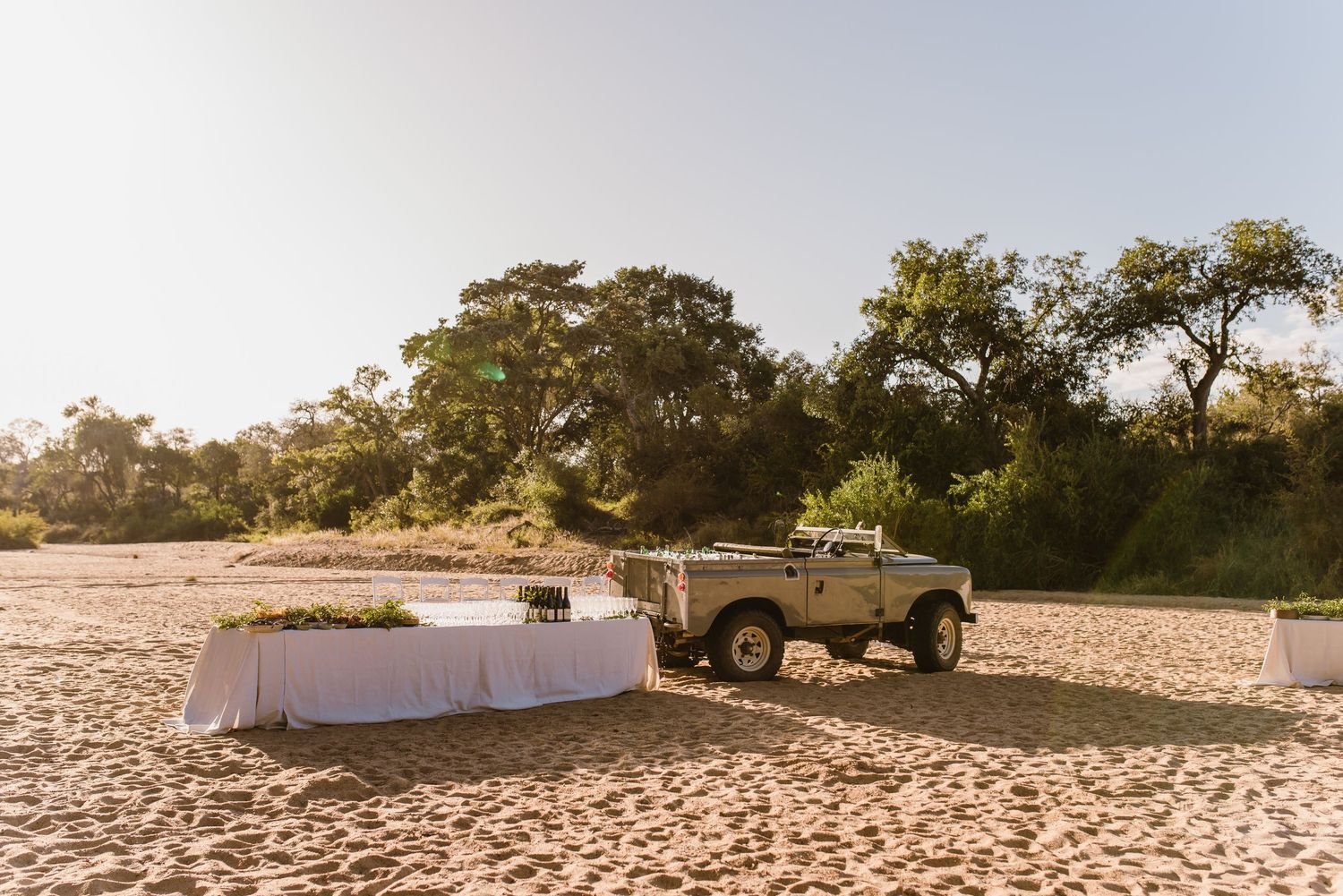 Thornybush Game Lodge, Kruger National Park Wedding by South African Safari Wedding Photographer Wildflower Photography