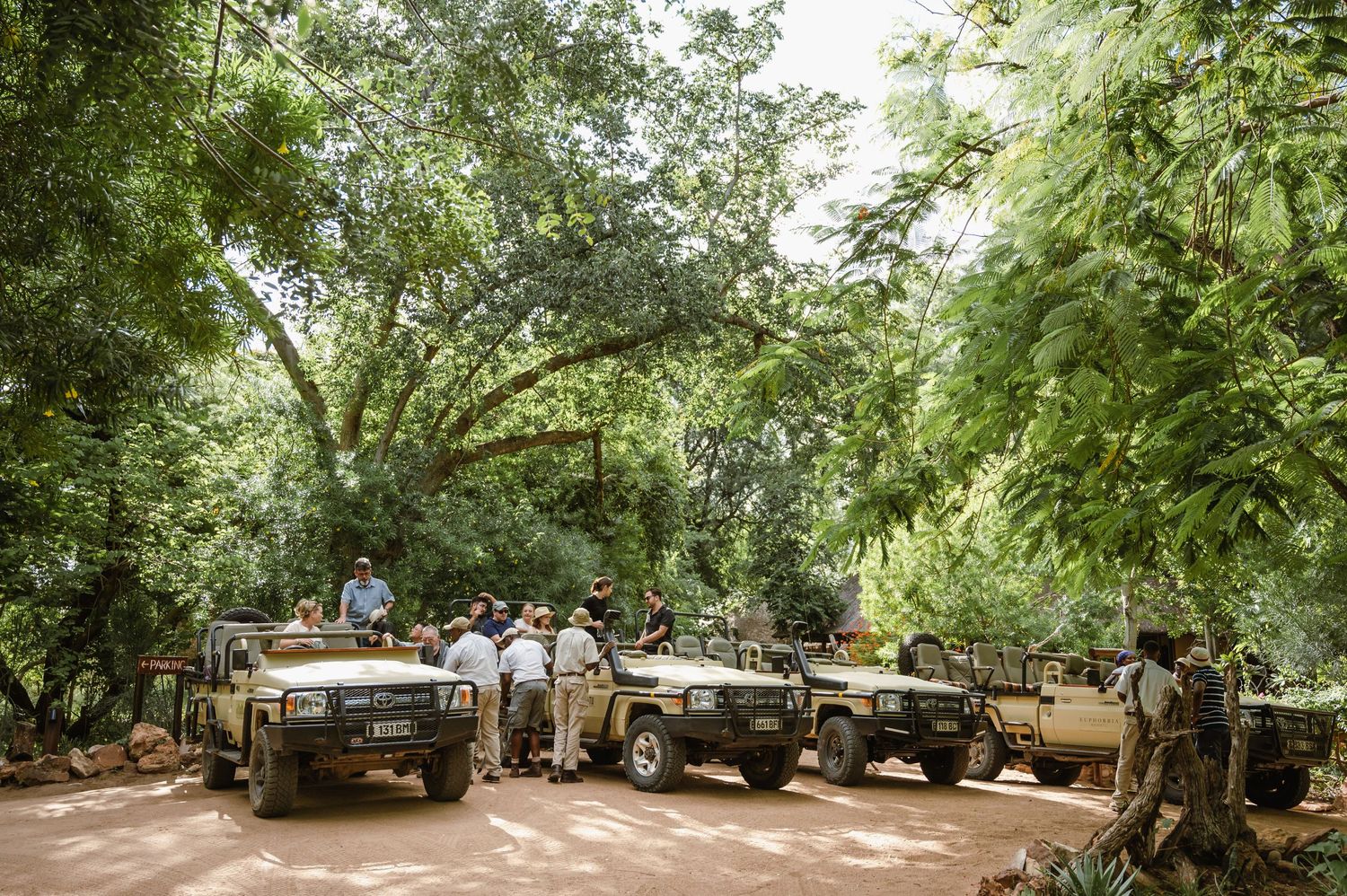 chirs & sam Mashatu game reserve, Botswana wedding by Safari wedding photographer wildflower photography