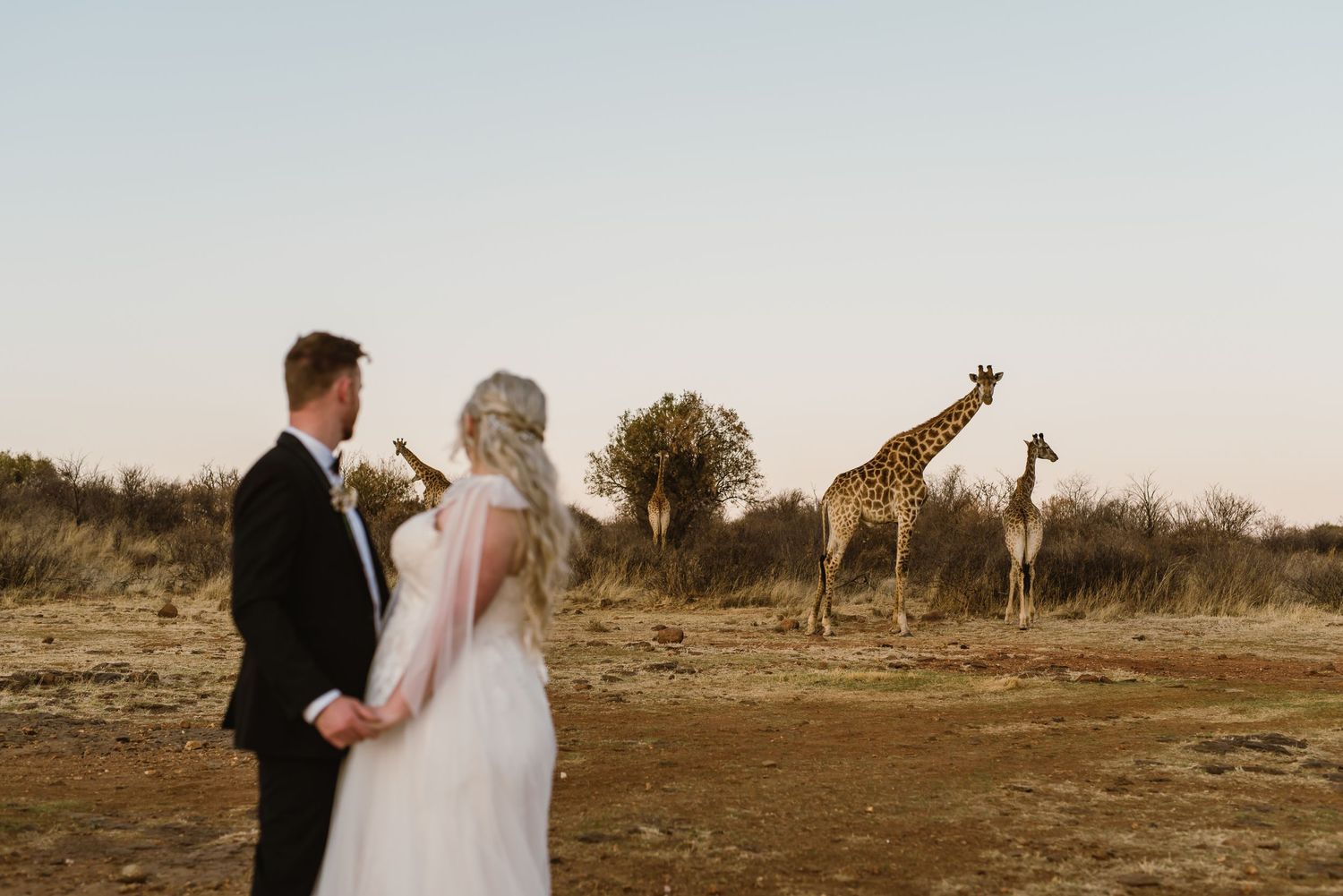 Bona Bona Game Lodge wedding by Safari Wedding Photographer Wildflower Photography
